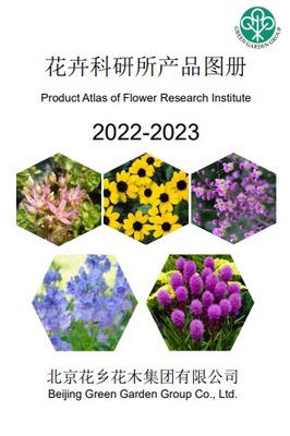 免費制作翻頁電子書、電子畫冊和電子雜志的高效工具推薦